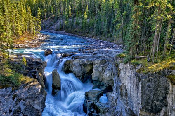 贾斯珀国家公园,瀑布,Sunwapta瀑布,树木,Sunwapta河,加拿大,岩石,加拿大,河,森林