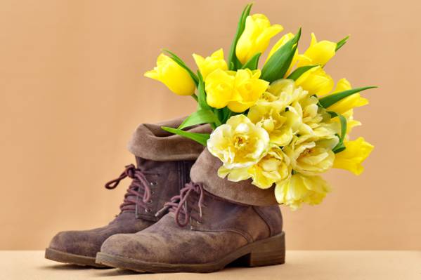 鲜花,花束,郁金香,鞋子,郁金香,靴子