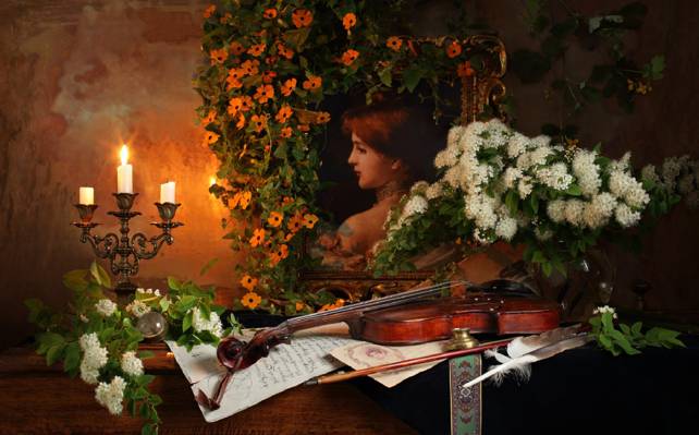 鲜花,图片,静物,蜡烛,小提琴