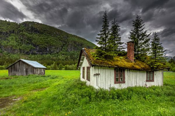 山,自然,房子,树,挪威,屋顶,青苔,房子,挪威,挪威