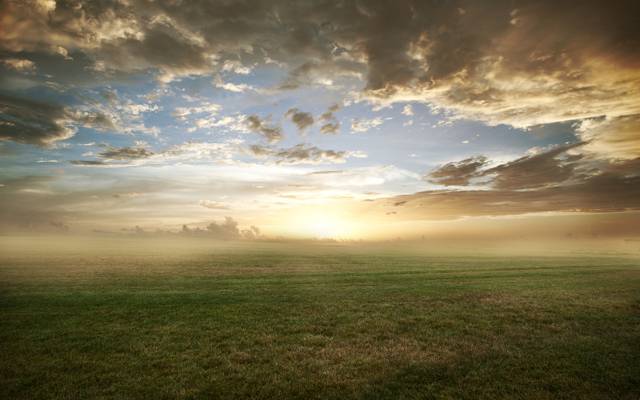 早上,田地,自然,雾,草,云,草坪