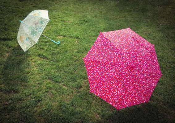 两个白色和粉红色的雨伞高清壁纸
