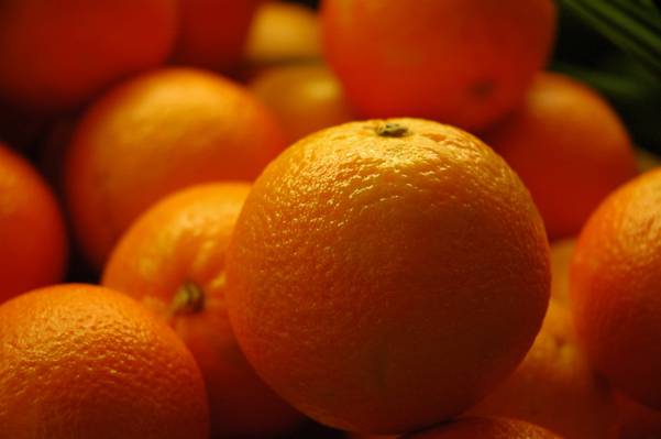 橙色水果很多高清壁纸