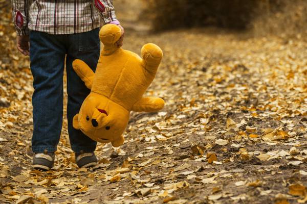 男孩抱着棕色的毛绒玩具走在棕色的叶子场高清壁纸