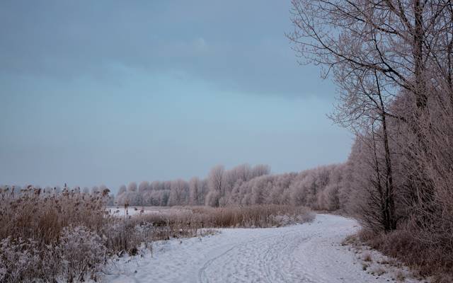 道路,景观,冬天