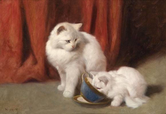 猫,图片,茶时间,阿瑟·海尔,艺术,蓬松,白色
