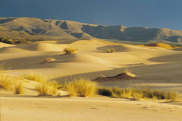 沙漠在白天,witsand,非洲高清壁纸