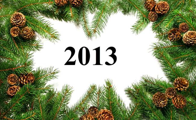 新年快乐,新的,颠簸,2013年,年,分支机构
