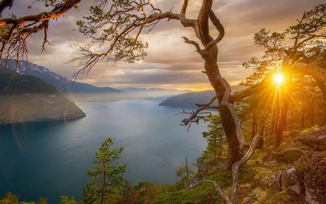 山,树,湾,峡湾,挪威,太阳的光线,岩石,石头,日落