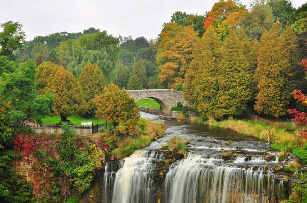 秋天,公园,桥,瀑布,树木,河流