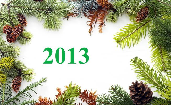 颠簸,2013年,新的一年,新年快乐
