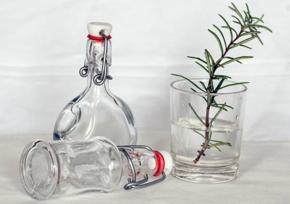 两个清澈的玻璃酒瓶和绿色的植物和水清晰的饮用水杯高清壁纸