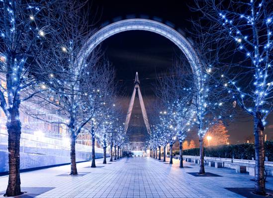 伦敦眼,花环,伦敦,灯光,英国,伦敦,树木,英国,摩天轮,晚上,晚上,轨道,...