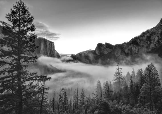 黑色和白色,公园,山,性质,优胜美地,照片,CA,森林,美国