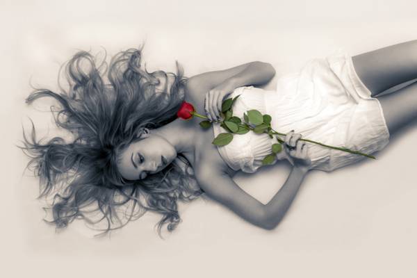女人穿着露肩的衣服,拿着躺在表面高清壁纸上的红玫瑰