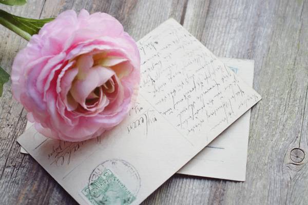 一只手上的粉红色玫瑰花写卡高清壁纸
