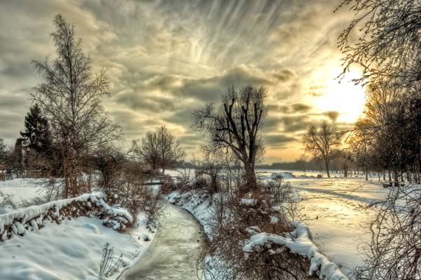 雪,冬天,性质,树,云,天空,河,景观,日落
