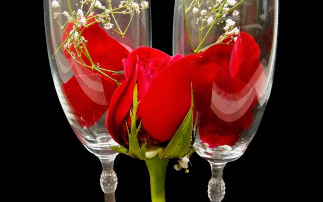 鲜花,芽,性质,玻璃,红色,花,玫瑰,花瓣,眼镜,红玫瑰