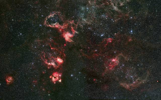 NGC 2070,狼蛛,金鱼,星云,星座