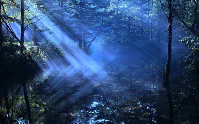 光线,阴霾,光线,河流,森林