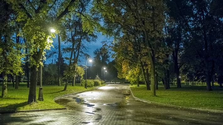 灯,晚上,公园,秋天,圣彼得堡