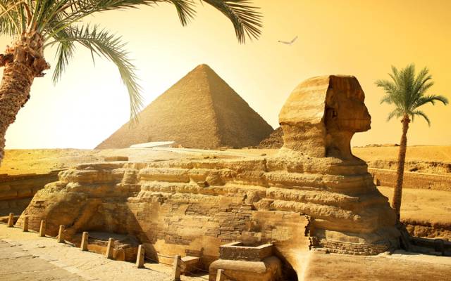 石头,太阳,鸟,狮身人面像,沙漠,金字塔,埃及,棕榈树,开罗