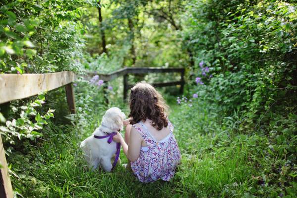 女孩穿着白色和紫色的裙子在白天的高清壁纸白色的小狗在花园旁边的花园里玩