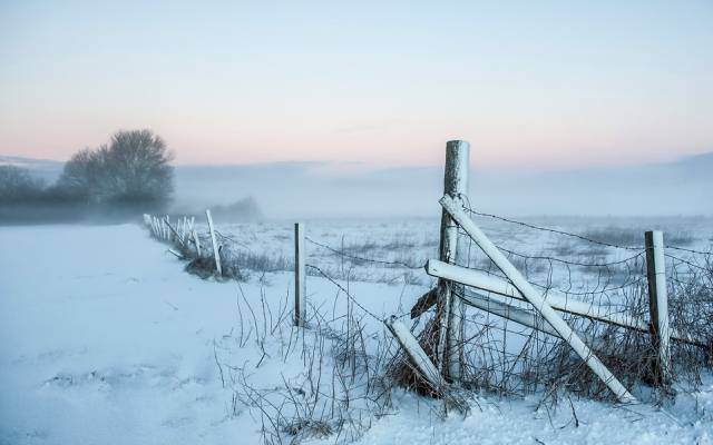 早晨,栅栏,雪地,田野,雾,风景