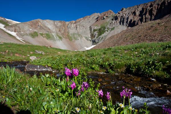 在白天期间,棕色山附近的紫色花,云彩高峰HD墙纸