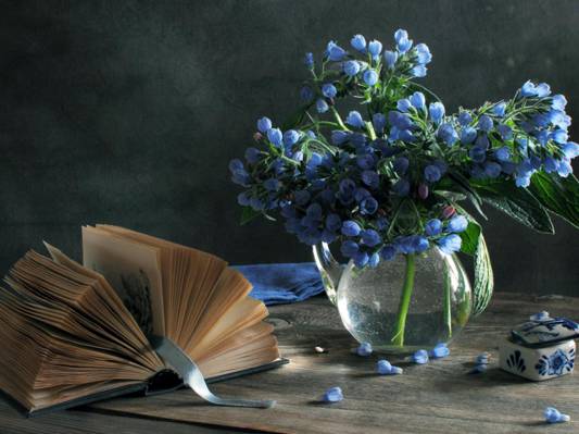 书签,花瓶,磁带,轻轻地,蓝色的花,书,静物,框