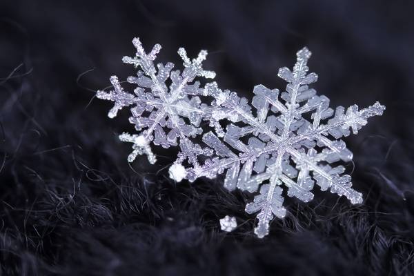 雪,水晶,雪花,冬天