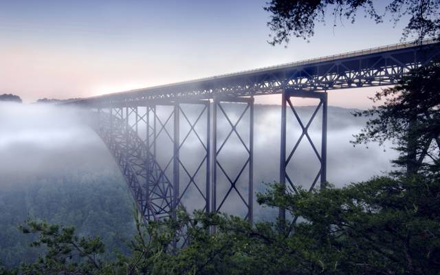 雾,桥,新河峡谷桥,景观