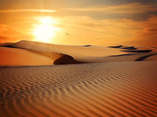 沙漠日落高清壁纸