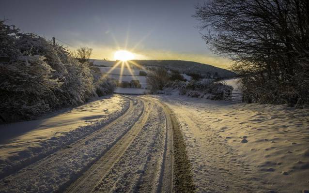路,雪,景观,冬天
