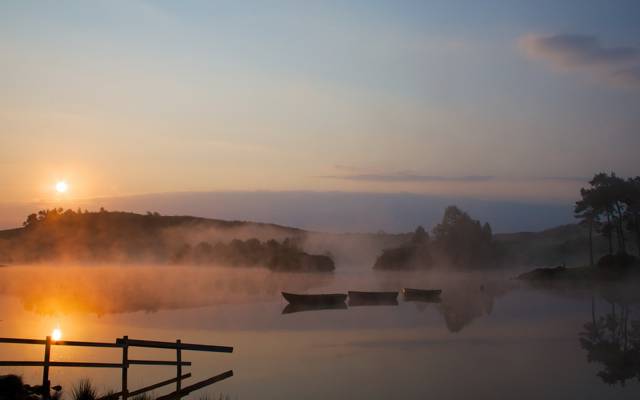 小船,早晨,湖,雾