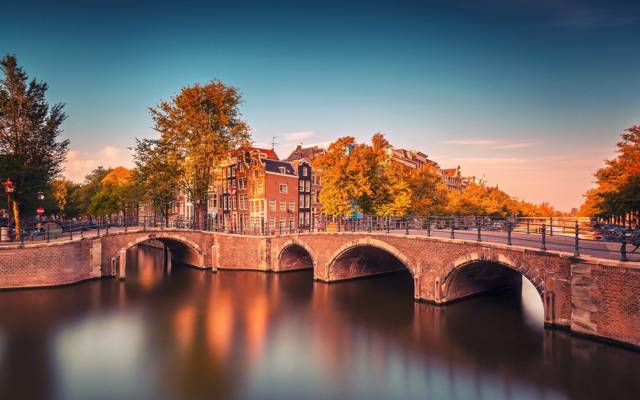 桥,阿姆斯特丹,自行车,树木,北荷兰,省,城市,阿姆斯特丹,北荷兰,秋天,通道,荷兰,荷兰,...