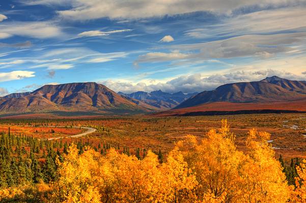 阿拉斯加,山,树木,视图,蓝色,云,天空,秋天,景观,美国