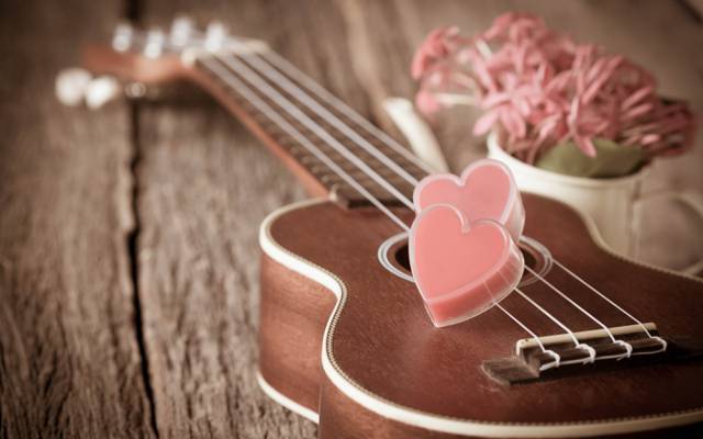 鲜花,复古,吉他,心,爱,心,浪漫