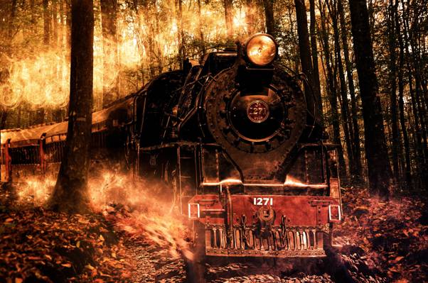 黑色和红色火车之间的树林高清壁纸
