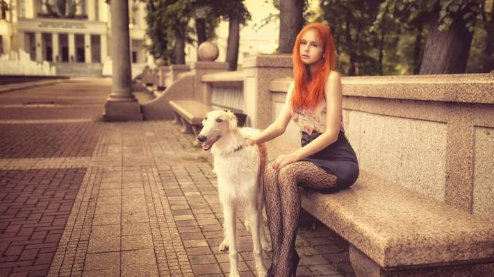 壁纸狗,安雅,女孩,红发,德米特里Butvilovskij,板凳,城市