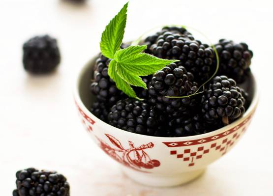 黑色,宏观,碗,黑莓,浆果