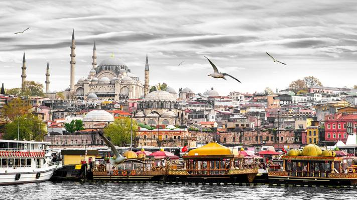 壁纸海鸥,宫殿,土耳其,伊斯坦布尔,船,船,家,码头,塔