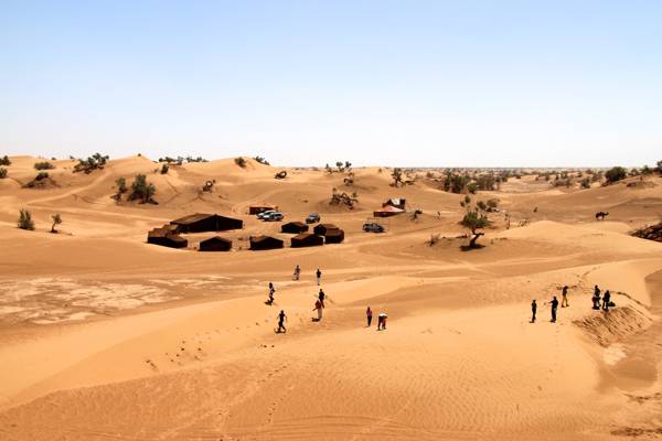 人和沙漠上的定居点,骆驼高清壁纸