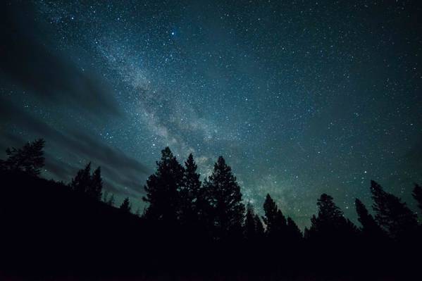 天空,夜晚,星星,森林,银河系