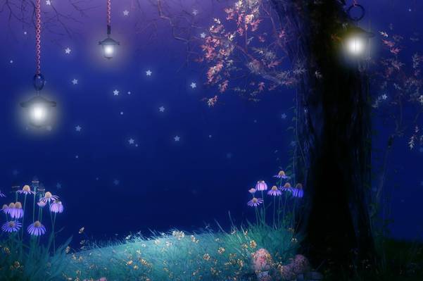 花,树,叶子,晚上,星星,灯,蘑菇