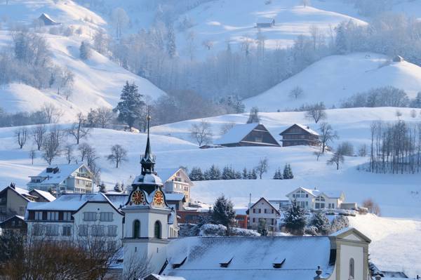 市政厅,阿尔卑斯山,镇,雪,山,冬季,家庭