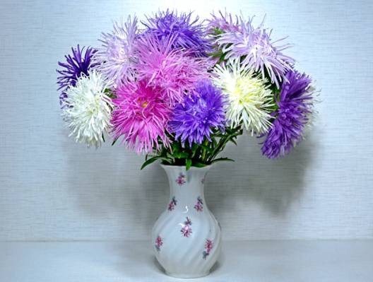 鲜花,花瓶,背景,紫苑