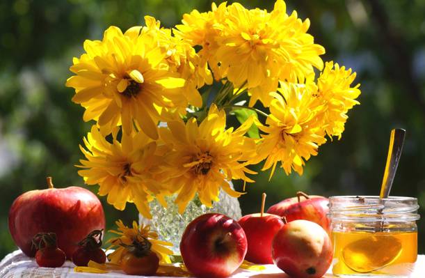 鲜花,静物,假期,蜂蜜,苹果,秋天,保存