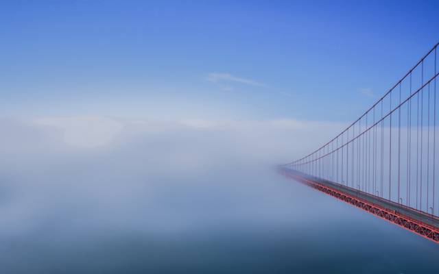 雾,早上,桥