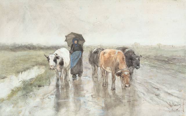 伞,水彩,图,奶牛和牧羊女在雨中,安东淡紫色的乡村路上...